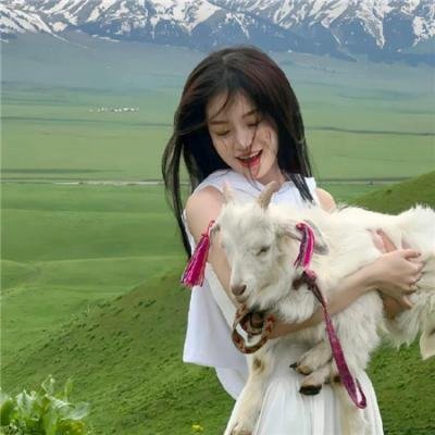 巴黎艳舞团 排行榜